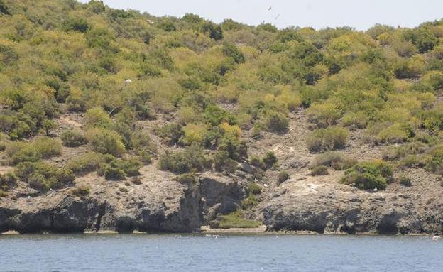 Isla del Barón.