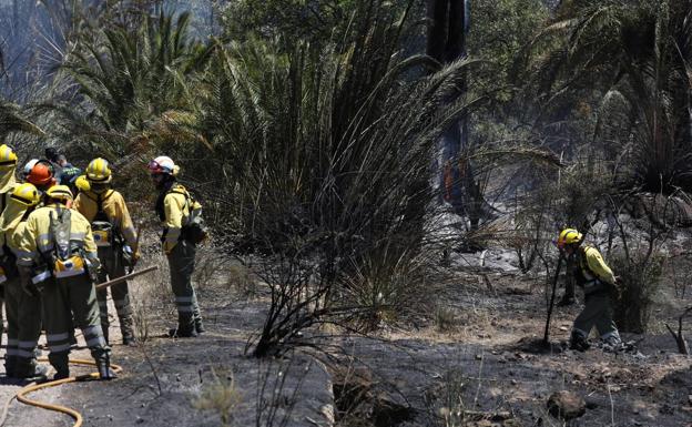 Bomberos trabajando en la extinción del incendio del Menjú, en Cieza.