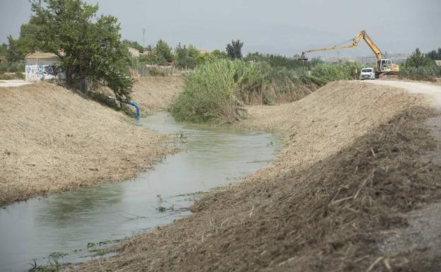 Limpieza de cañas en el Segura.