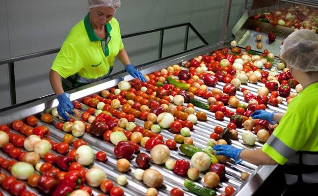 Planta de producción de Alvalle en Murcia.