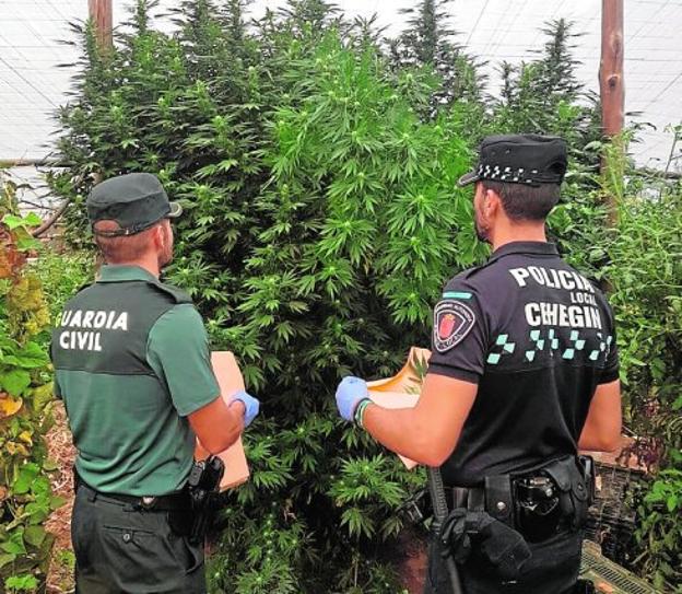 Agentes de la Guardia Civil y la Policía Local en la finca.