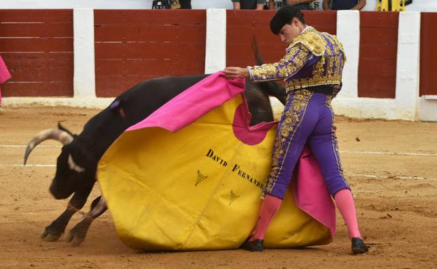 El ceheginero David Fernández, con el capote, este domingo en Calasparra.