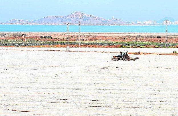 Un tractor, en un campo de cultivo con plásticos en la zona de Lo Poyo, en abril de 2015.
