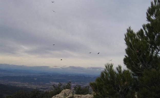 Los buitres, desde el mirador de Los Cenajos./