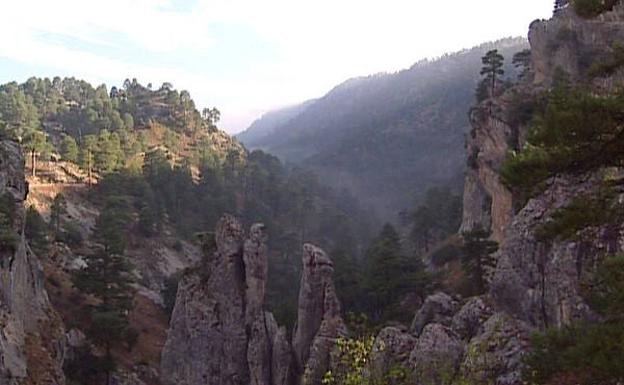 Paisaje serrano, desde la pista forestal.
