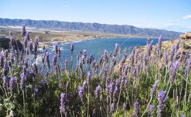 Panorámica de la Marina de Cope desde el cabo, con el Lomo de Bas de fondo./