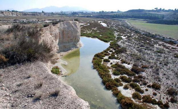 El cauce inundado de la Rambla Salada, en el término municipal de Fortuna./