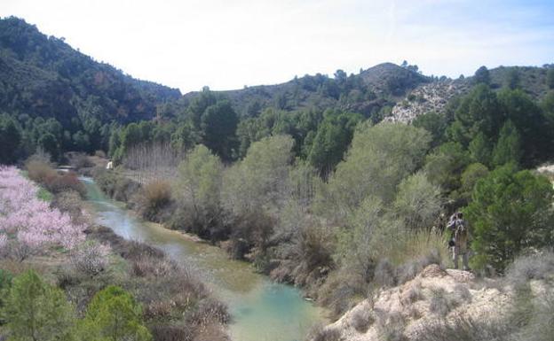 Panorámica del río Segura entre las fincas de La Chamorra y La Hoya, aún en el término municipal de Hellín.