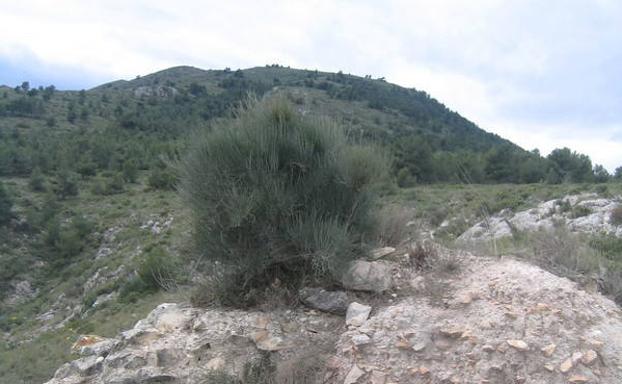 Los restos del castillo árabe del siglo XII.