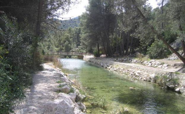 El río, a su paso por el camping.