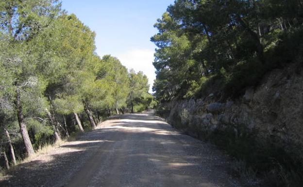 La pista que recorre el perímetro de la sierra.