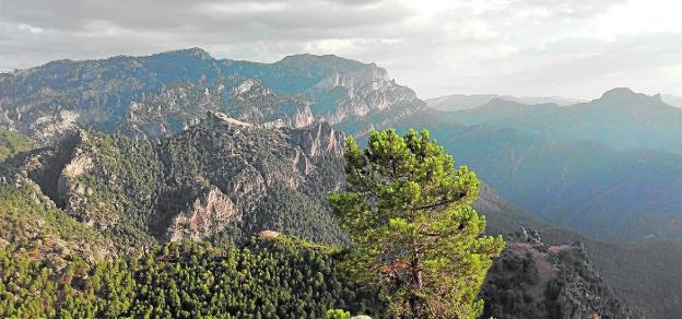 Las Banderillas (1993 m. de altitud), la cumbre más alta de la Sierra del Segura y en cuyo entorno están las aldeas perdidas./ Joaquín Lisón