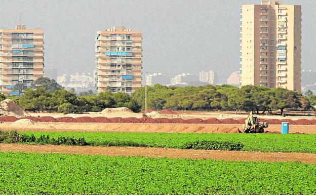 Cultivos en las cercanías del Mar Menor./J. M. Rodríguez