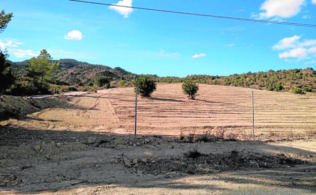 Imagen de la zona transformada para cultivo de regadío, que incluye terrenos forestales y de secano./Ecologistas en Acción