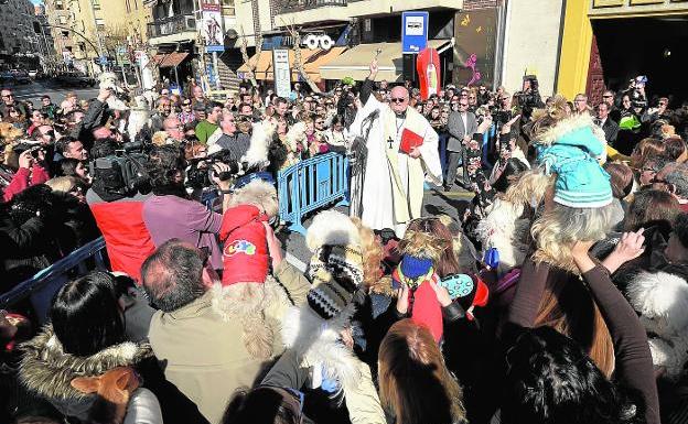 La bendición de los animales pone la nota jovial y emotiva en la festividad de San Antón. NACHO GARCÍA / AGM/