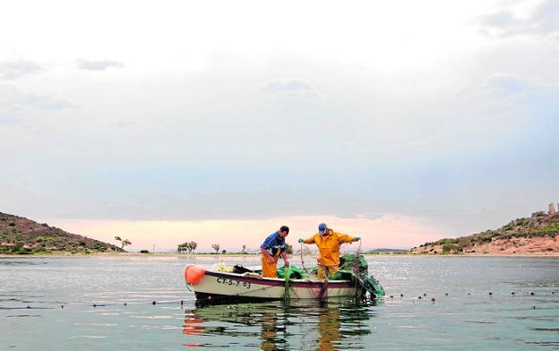 Pesca de dorada con artes tradicionales junto a la Isla Perdiguera, en el Mar Menor./José Luis Villaescusa