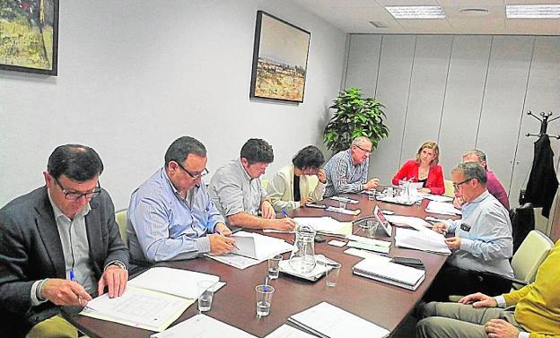 Los miembros del Consejo de Administración de Sercomosa, reunidos con la alcaldesa. / J. L. V.