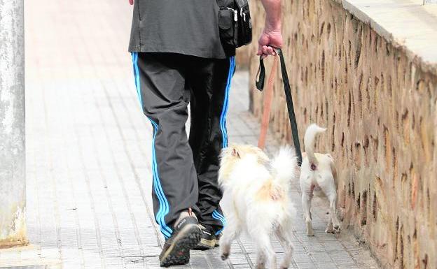 Un hombre pasea con dos perros por una calle de Cartagena, en una foto de archivo./Antonio Gil / AGM