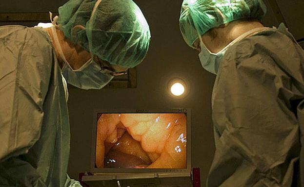 Un paciente se somete a un trasplante renal en el hospital universitario de La Paz, en Madrid. /Efe