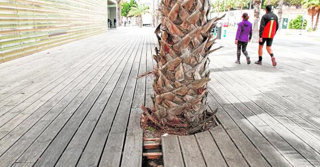 Desperfectos en la explanada exterior del Auditorio El Batel, que está hecha con tablones de madera./Pablo Sánchez / AGM