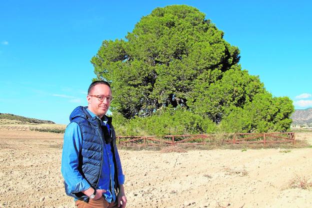 Rodrigo Borrega posa delante del vetusto Pino de las Águilas./LV