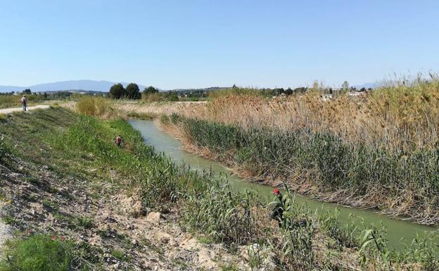 Labores de búsqueda a lo largo del río Segura./LV