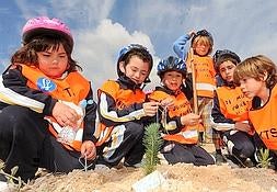 Un grupo de alumnos del colegio Ciudad del Sol durante la plantación de pinos en la cantera Los Pajeles. :: PACO ALONSO / AGM/