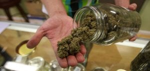 Un bote de derivado de cannabis con fines terapéuticos. Su comercialización ya es legal en España para pacientes de esclerosis múltiple. :: AP/