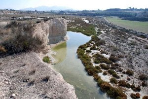Paraje natural. Una imagen de la Rambla Salada de Fortuna, en la zona donde Fenoll pretendía construir 661 viviendas. :: J. SERRANO/