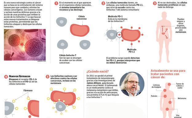 Una nueva esperanza frente al cáncer.