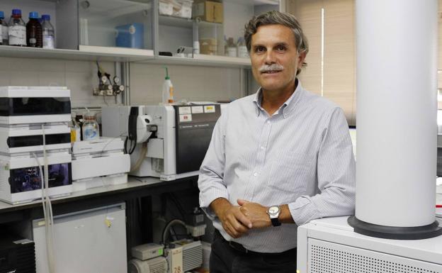 El doctor Francisco Tomás Barberán, uno de los investigadores reconocidos, en las instalaciones del Cebas-CSIC, en una fotografía de archivo./Fran Manzanera