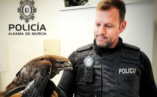 Un agente sostiene el águila./Policía Alhama