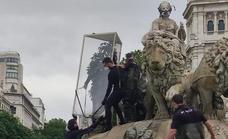 Detenidos una decena de activistas de Greenpeace tras subir a la Cibeles