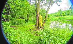 ZEPITEPI - TIEMPO PRIMORDIAL/MABEL MARTÍNEZ