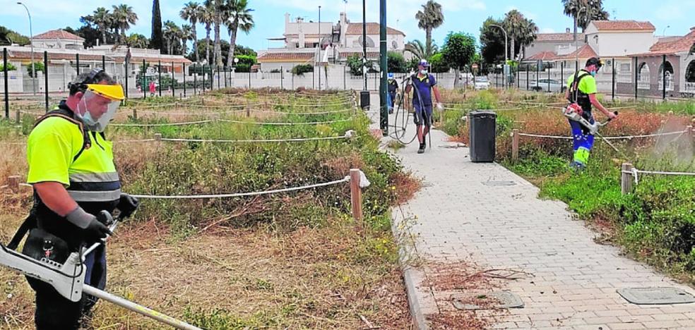 Las quejas vecinales obligan al Consistorio de Los Alcázares a limpiar y adecentar los huertos urbanos - Vimarsana News