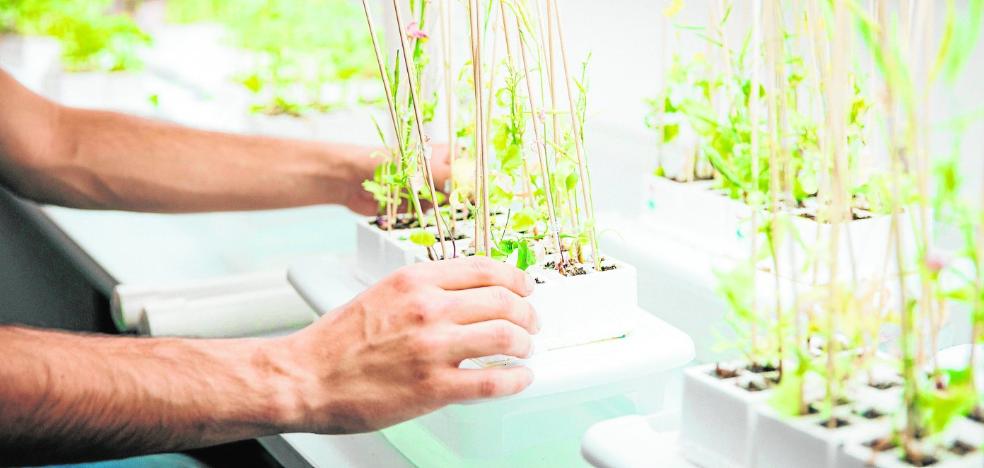 Diez años mostrando cómo defender bien la investigación agro - Vimarsana News