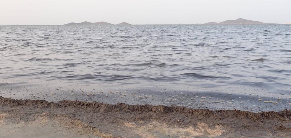 Contaminación | Pacto por el Mar Menor denuncia que el estado de la laguna salada está «al borde» de los episodios de 2016 y 2019 - Vimarsana News