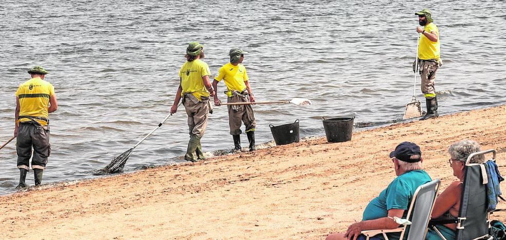 Mar Menor | Solo los científicos del Comité avalan abrir la gola de Marchamalo como medida urgente en el Mar Menor - Vimarsana News