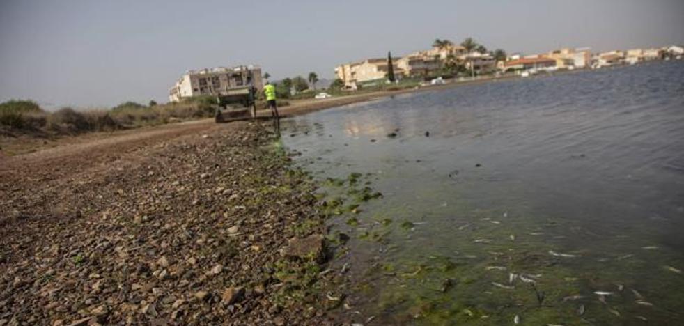 Mar Menor | Los geólogos alertan de que el Mar Menor «no se podrá recuperar sin actuar sobre las aguas subterráneas» - Vimarsana News