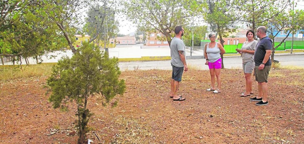 Arroyo urge a la CHS a autorizar tres obras en Cartagena que evitarían vertidos - Vimarsana News