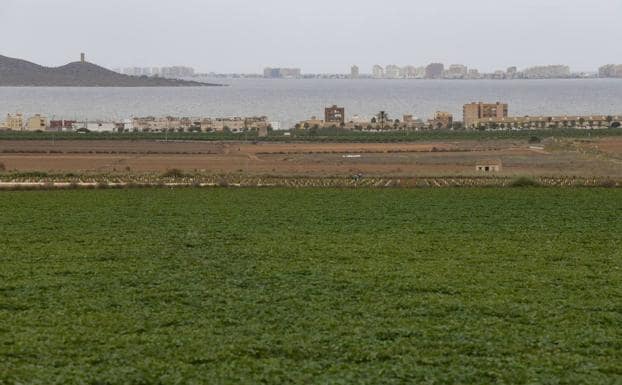 Irrigation in Campo de Cartagena in a file image. 