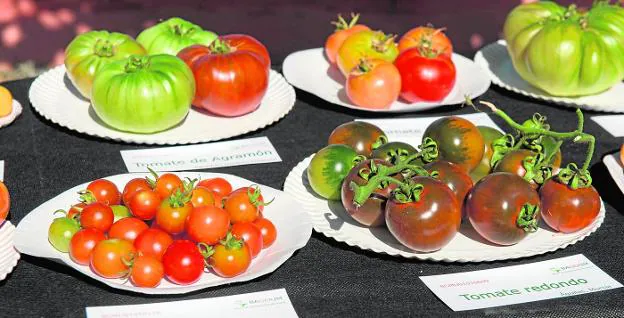 Tomato sample from the Murcian Institute for Agricultural and Environmental Research and Development (Imida). 