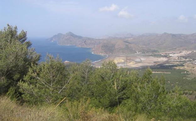 View from Mount of Ashes, in a file image. 