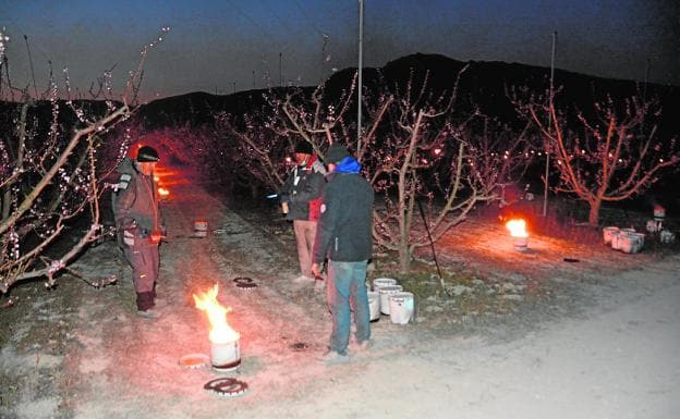 Several Cieza farmers carry out burning in an orchard to combat frost in a file image. 