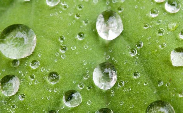 Each hit of a raindrop is capable of generating electricity.