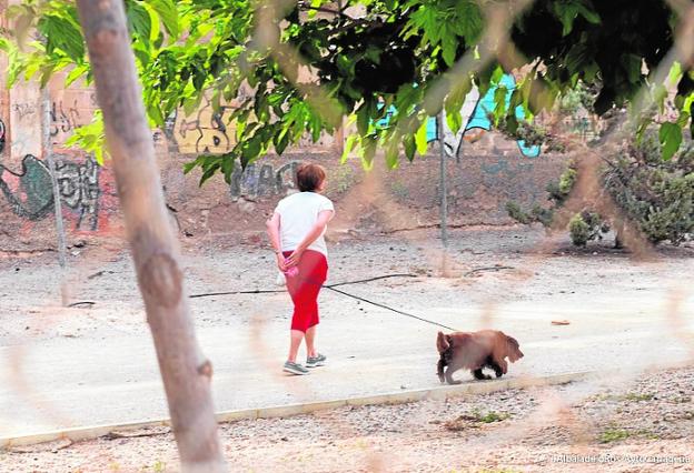 A woman walks her dog along the Greenway of Barrio Peral. 