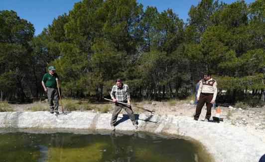 Tres hombres realizan el mantenimiento de una charca. /FCRM