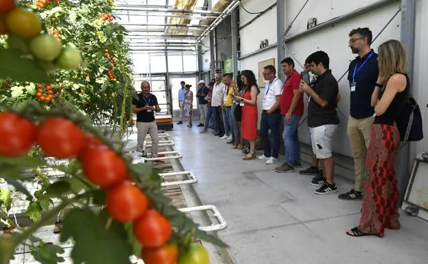 Presentation yesterday of the European project Pestnu at the aquaponics facilities of the Murcian company Tilamur, in Lorquí