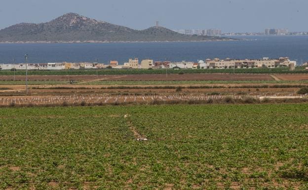 Crops next to the Mar Menor, in a file photograph.