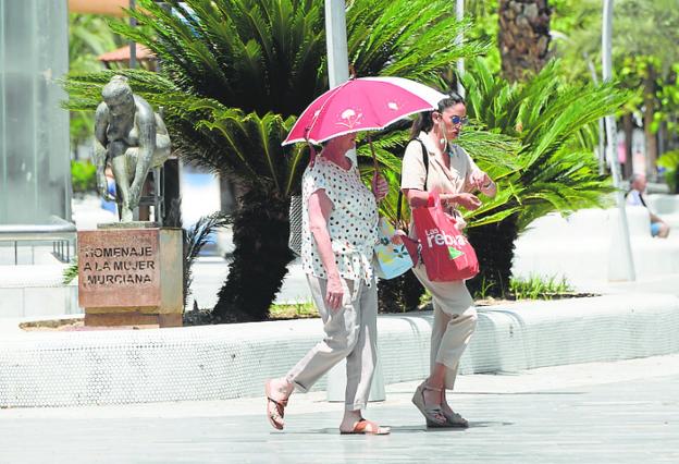 A woman covers herself from the sun with an umbrella, this week. 